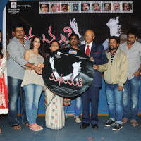 Madhumathi Movie Audio Launch Photos | Picture 648973