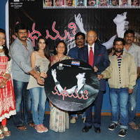 Madhumathi Movie Audio Launch Photos | Picture 648974