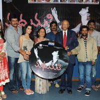 Madhumathi Movie Audio Launch Photos | Picture 648975