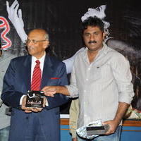 Madhumathi Movie Audio Launch Photos | Picture 648977