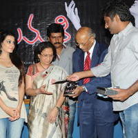 Madhumathi Movie Audio Launch Photos | Picture 648979