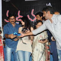 Madhumathi Movie Audio Launch Photos | Picture 648983