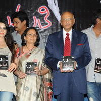Madhumathi Movie Audio Launch Photos | Picture 648984