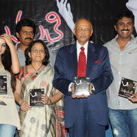Madhumathi Movie Audio Launch Photos | Picture 648987