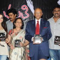 Madhumathi Movie Audio Launch Photos | Picture 648988
