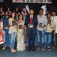 Madhumathi Movie Audio Launch Photos | Picture 648990