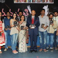 Madhumathi Movie Audio Launch Photos | Picture 648991