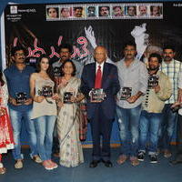 Madhumathi Movie Audio Launch Photos | Picture 648994