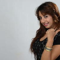 Sanjana New Hot Images | Picture 649308