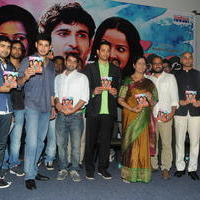 Hrudayam Ekkadunnadi Movie Audio Launch Stills | Picture 653265