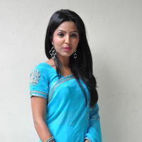 Nehasree Karam Latest Saree Photos | Picture 656142