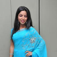 Nehasree Karam Latest Saree Photos | Picture 656149