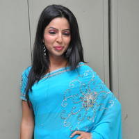 Nehasree Karam Latest Saree Photos | Picture 656150