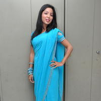 Nehasree Karam Latest Saree Photos | Picture 656173