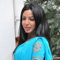 Nehasree Karam Latest Saree Photos | Picture 656185