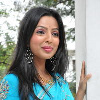 Nehasree Karam Latest Saree Photos | Picture 656193