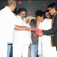 Nuvve Naa Bangaram Movie Audio Launch Photos | Picture 656711