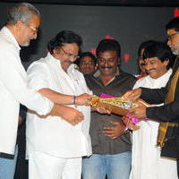 Nuvve Naa Bangaram Movie Audio Launch Photos | Picture 656713