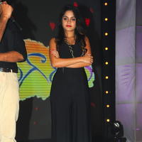 Sheena Shahabadi - Nuvve Naa Bangaram Movie Audio Launch Photos