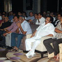 Nuvve Naa Bangaram Movie Audio Launch Photos | Picture 656633
