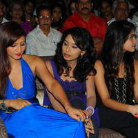 Nuvve Naa Bangaram Movie Audio Launch Photos | Picture 656644