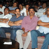 Nuvve Naa Bangaram Movie Audio Launch Photos | Picture 656655