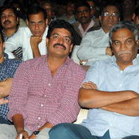 Nuvve Naa Bangaram Movie Audio Launch Photos | Picture 656656