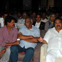 Nuvve Naa Bangaram Movie Audio Launch Photos | Picture 656657