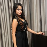 Sheena Shahabadi New Stills at Nuvve Naa Bangaram Audio Launch | Picture 656734