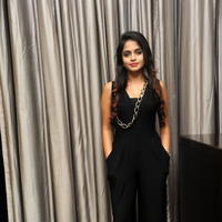 Sheena Shahabadi New Stills at Nuvve Naa Bangaram Audio Launch | Picture 656737