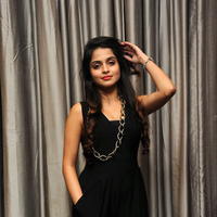 Sheena Shahabadi New Stills at Nuvve Naa Bangaram Audio Launch | Picture 656741