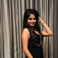 Sheena Shahabadi New Stills at Nuvve Naa Bangaram Audio Launch | Picture 656742