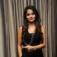Sheena Shahabadi New Stills at Nuvve Naa Bangaram Audio Launch | Picture 656744