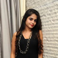 Sheena Shahabadi New Stills at Nuvve Naa Bangaram Audio Launch | Picture 656791