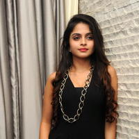 Sheena Shahabadi New Stills at Nuvve Naa Bangaram Audio Launch | Picture 656792