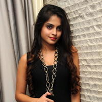 Sheena Shahabadi New Stills at Nuvve Naa Bangaram Audio Launch | Picture 656793