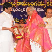 Allu Ramalingaiah National Award to Kota Srinivasa Rao Photos | Picture 593175