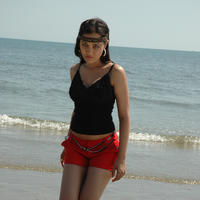 Nisha Kothari Latest Hot Pictures | Picture 595411