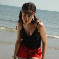 Nisha Kothari Latest Hot Pictures | Picture 595415
