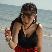 Nisha Kothari Latest Hot Pictures | Picture 595416