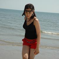 Nisha Kothari Latest Hot Pictures | Picture 595421