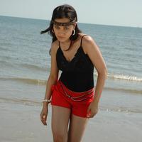 Nisha Kothari Latest Hot Pictures | Picture 595424