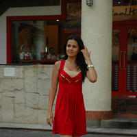 Nisha Kothari Latest Hot Pictures | Picture 595425