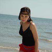 Nisha Kothari Latest Hot Pictures | Picture 595428