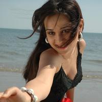 Nisha Kothari Latest Hot Pictures | Picture 595456