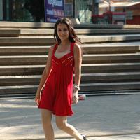 Nisha Kothari Latest Hot Pictures | Picture 595459