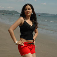 Nisha Kothari Latest Hot Pictures | Picture 595469