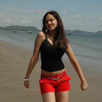Nisha Kothari Latest Hot Pictures | Picture 595483