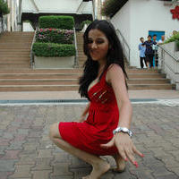 Nisha Kothari Latest Hot Pictures | Picture 595523