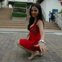Nisha Kothari Latest Hot Pictures | Picture 595524